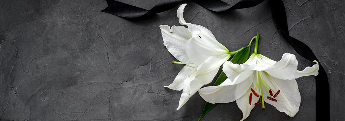 Lily funeral flower on dark stone